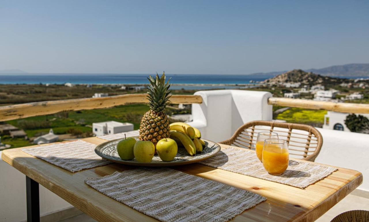 Naxos Earth Suites Mikri Vigla Buitenkant foto